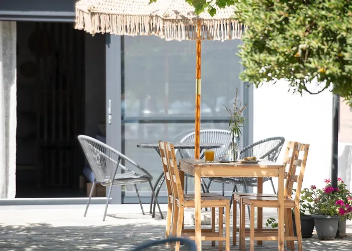 Outdoor garden bar with olive trees